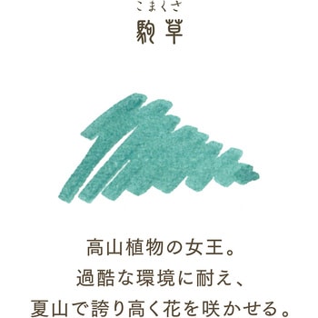 万年筆用 ボトルインク 四季織 セーラー万年筆