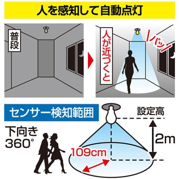 人感センサー付LED電球3個組 ファミリー・ライフ