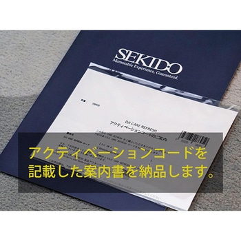 DJI Care Refresh 1年版 (DJI RS 4 Mini) DJI