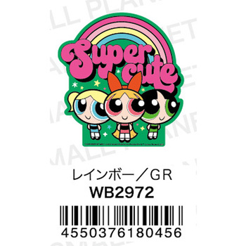キャラクタービッグマグネット/パワーパフガールズ/レインボー/GR スモール・プラネット