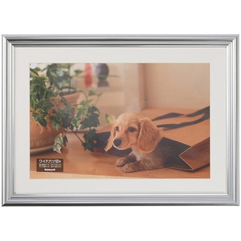 樹脂製写真額 ナカバヤシ