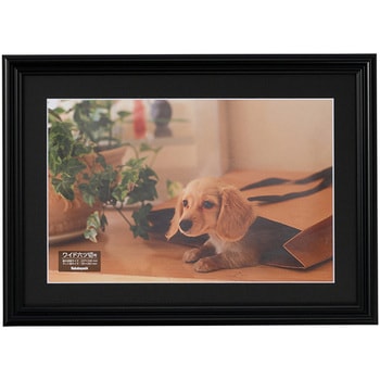 樹脂製写真額 ナカバヤシ