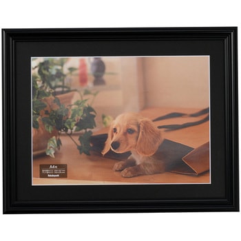 樹脂製写真額 ナカバヤシ