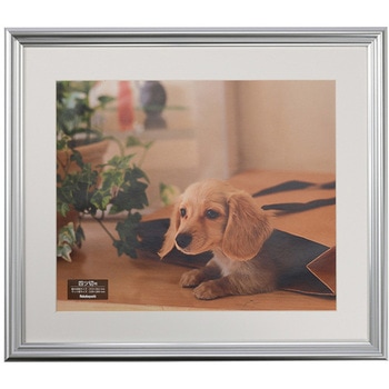 樹脂製写真額 ナカバヤシ