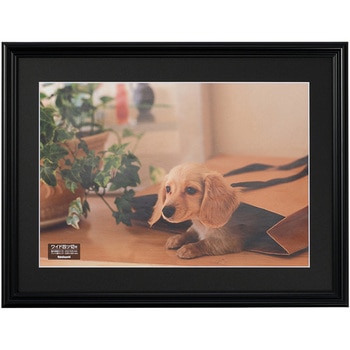 F-SP-112-D ʐ^z iJoV (PS)(tB\) ubNF   F-SP-112-D 13941500