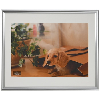 F-SP-113-SV ʐ^z iJoV (PS)(tB\) Vo[F   F-SP-113-SV 13941509