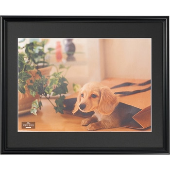 樹脂製写真額 ナカバヤシ