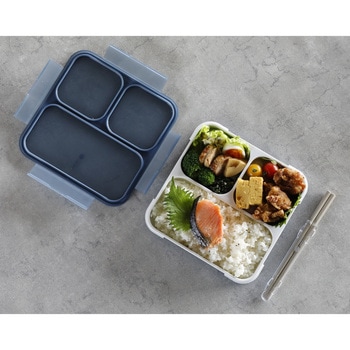 薄型弁当箱 抗菌フードマン800 シービージャパン