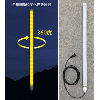 たいよう様 61l6tyVQMqL._UF350,350_QL80_.jpg