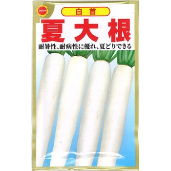 【タネ】白首 夏大根 アタリヤ農園