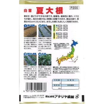 【タネ】白首 夏大根 アタリヤ農園