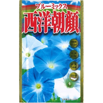【タネ】ブルーミックス 西洋朝顔 アタリヤ農園