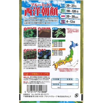 【タネ】ブルーミックス 西洋朝顔 アタリヤ農園