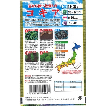 【タネ】夏から秋へ色変わり コキア アタリヤ農園