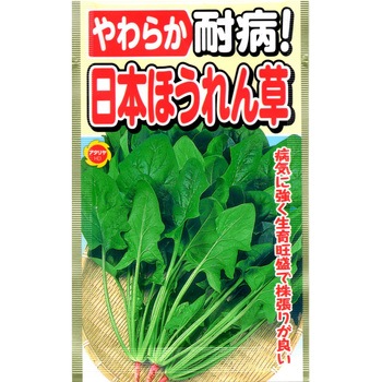 363417 【タネ】やわらか 耐病! 日本ほうれん草 野菜 1個 アタリヤ農園