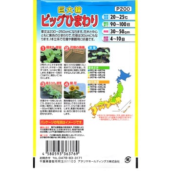 【タネ】巨大輪 ビックひまわり 花 アタリヤ農園