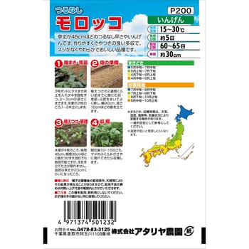 【タネ】つるなし モロッコ インゲン いんげん 野菜 アタリヤ農園