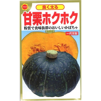 専用ページ❣️氷種❣️黄色緑のかぼちゃ彫刻ブレスレット❣️鑑定書付き 61i5ERAfTuL.jpg