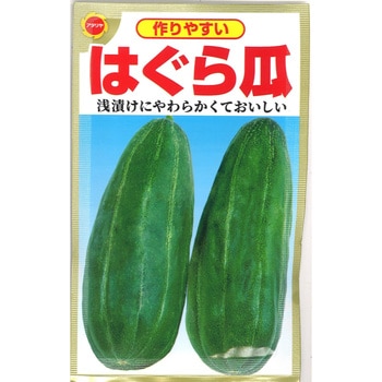 【タネ】作りやすい はぐら瓜 うり 野菜 アタリヤ農園