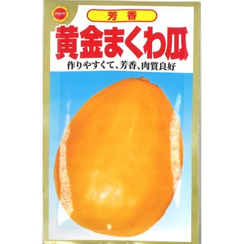【タネ】芳香 黄金まくわ瓜 うり 野菜 アタリヤ農園