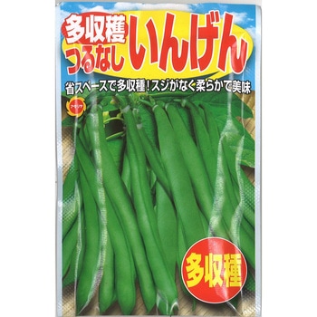 【タネ】多収穫つるなし いんげん インゲン 野菜 アタリヤ農園