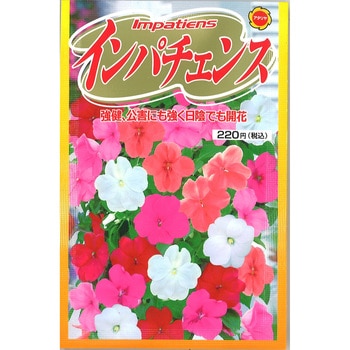 【タネ】インパチェンス 花 アタリヤ農園