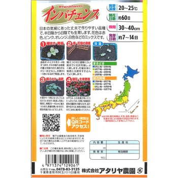 【タネ】インパチェンス 花 アタリヤ農園