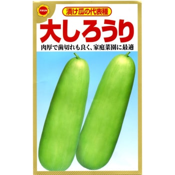 【タネ】漬け瓜の代表種 大しろうり 野菜 アタリヤ農園