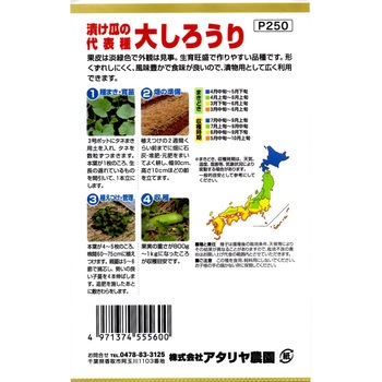【タネ】漬け瓜の代表種 大しろうり 野菜 アタリヤ農園