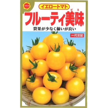 111639 【タネ】イエロートマト フルーティ美味 ミニトマト 野菜 1個
