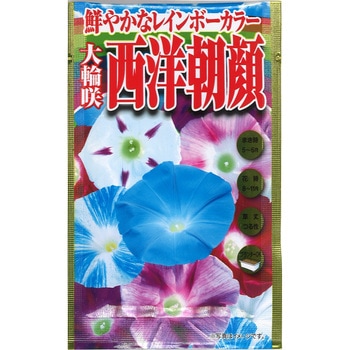 【タネ】鮮やかなレインボーカラー 大輪咲 西洋朝顔 アタリヤ農園