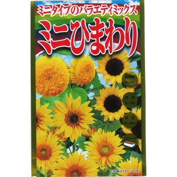【タネ】ミニタイプのバラエティミックス ミニひまわり 花 アタリヤ農園
