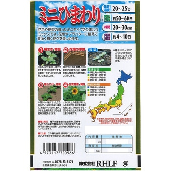 【タネ】ミニタイプのバラエティミックス ミニひまわり 花 アタリヤ農園