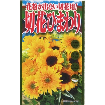 【タネ】花粉が出ない切花用! 切花ひまわり 花 アタリヤ農園