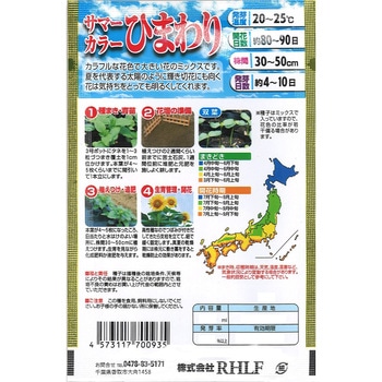 【タネ】夏の空に明るく輝く! サマーカラーひまわり 花 アタリヤ農園