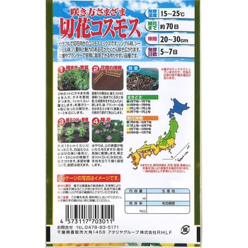 【タネ】咲き方さまざま 切花コスモス 秋桜 花 アタリヤ農園