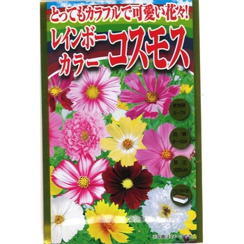 700959 【タネ】とってもカラフルで可愛い花々! レインボーカラー