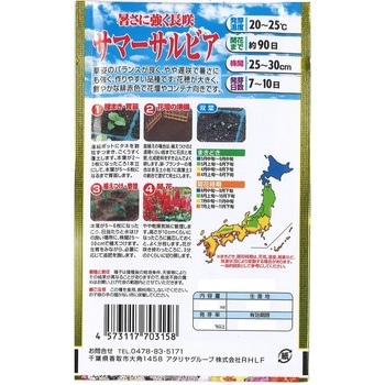 【タネ】暑さに強く長咲 サマーサルビア 花 アタリヤ農園