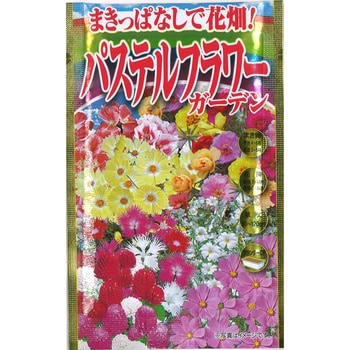 【タネ】まきっぱなしで花畑! パステルフラワーガーデン 花 草花 アタリヤ農園