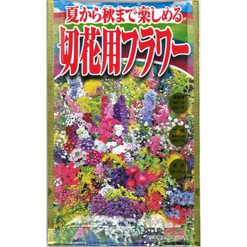 【タネ】夏から秋まで楽しめる 切花用フラワー 花 アタリヤ農園