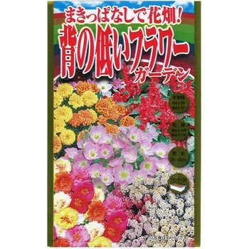 【タネ】まきっぱなしで花畑! 背の低いフラワー ガーデン 花 アタリヤ農園