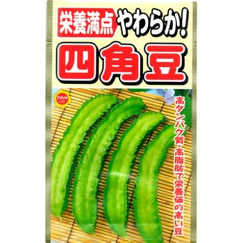 【タネ】栄養満点 やわらか! 四角豆 アタリヤ農園