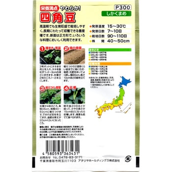 【タネ】栄養満点 やわらか! 四角豆 アタリヤ農園
