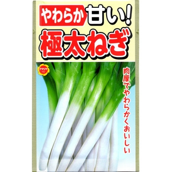 ネギ 363394 【タネ】やわらか 甘い! 極太ねぎ 野菜 1個 アタリヤ農園