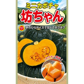ぷくてん　坊っちゃんかぼちゃ　50個　農薬不使用250707-50P ぷくてん様専用 坊っちゃんかぼちゃ 50個 農薬不使用250707-50P