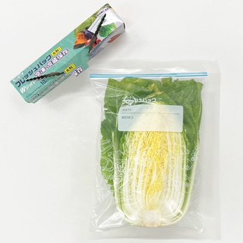 ベンリーナ フレッシュパック(冷凍・冷蔵保存用) アルフォーインターナショナル