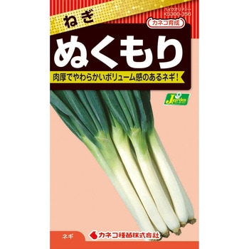 【タネ】ねぎ ぬくもり カネコ種苗