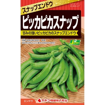 【タネ】エンドウ ピッカピカスナップ カネコ種苗