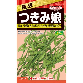 【タネ】枝豆 つきみ娘 カネコ種苗