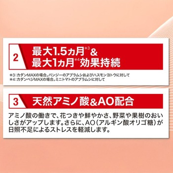 カダンベジMAX フマキラー